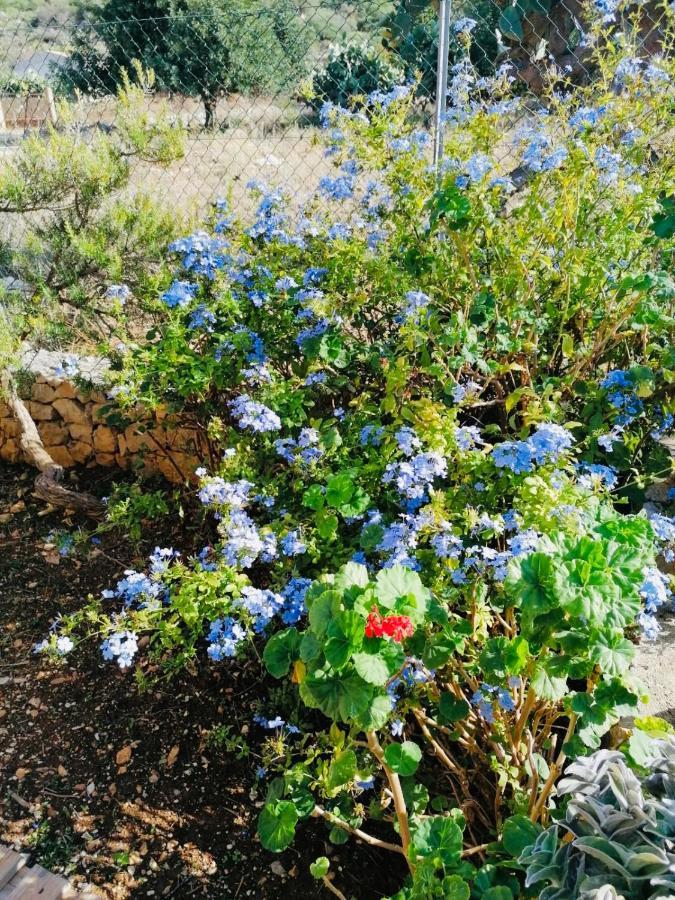 Villetta Castiglione San Vito Lo Capo Exteriör bild